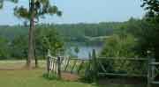 Lake at Clemson Sandhills Research Center