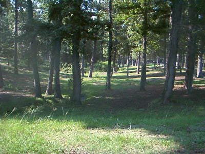 Lincoln Park Woods