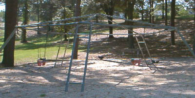 Marshall Park Swings