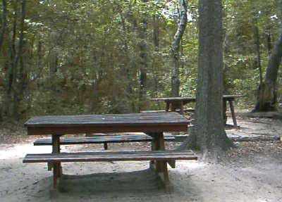 Riverbanks Picnic Table