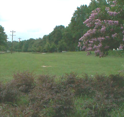 Tyler Park Field